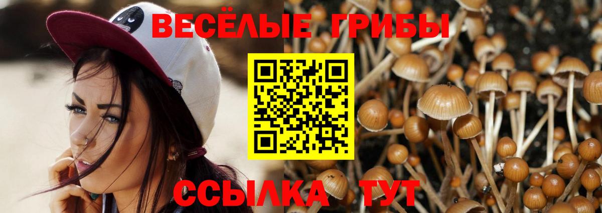 Галлюциногенные грибы MAGIC MUSHROOMS Бугуруслан